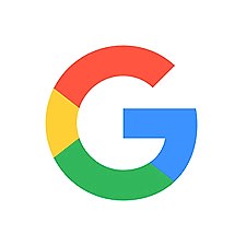Google review customer